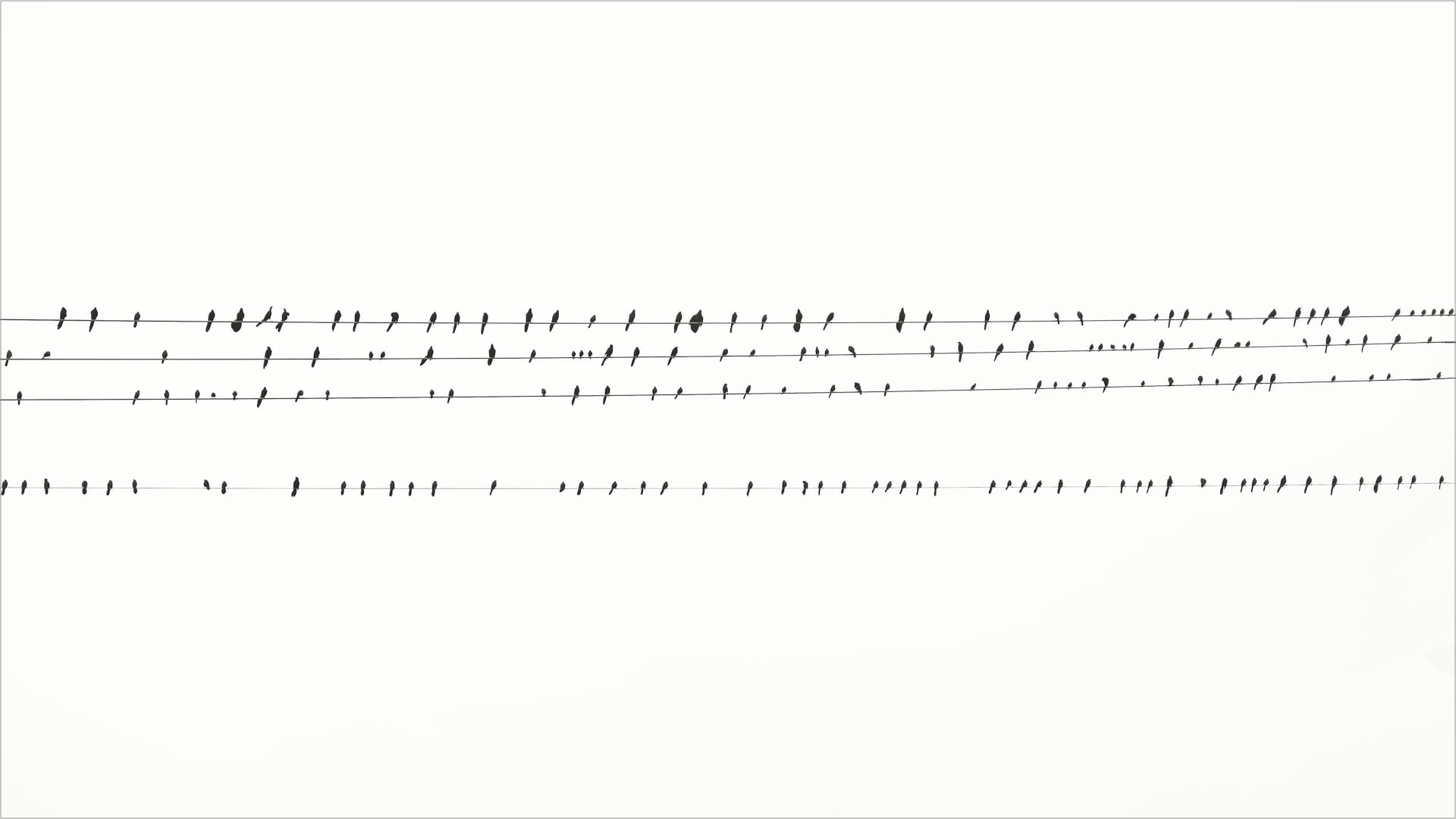 Ye Ku - Birdsong
