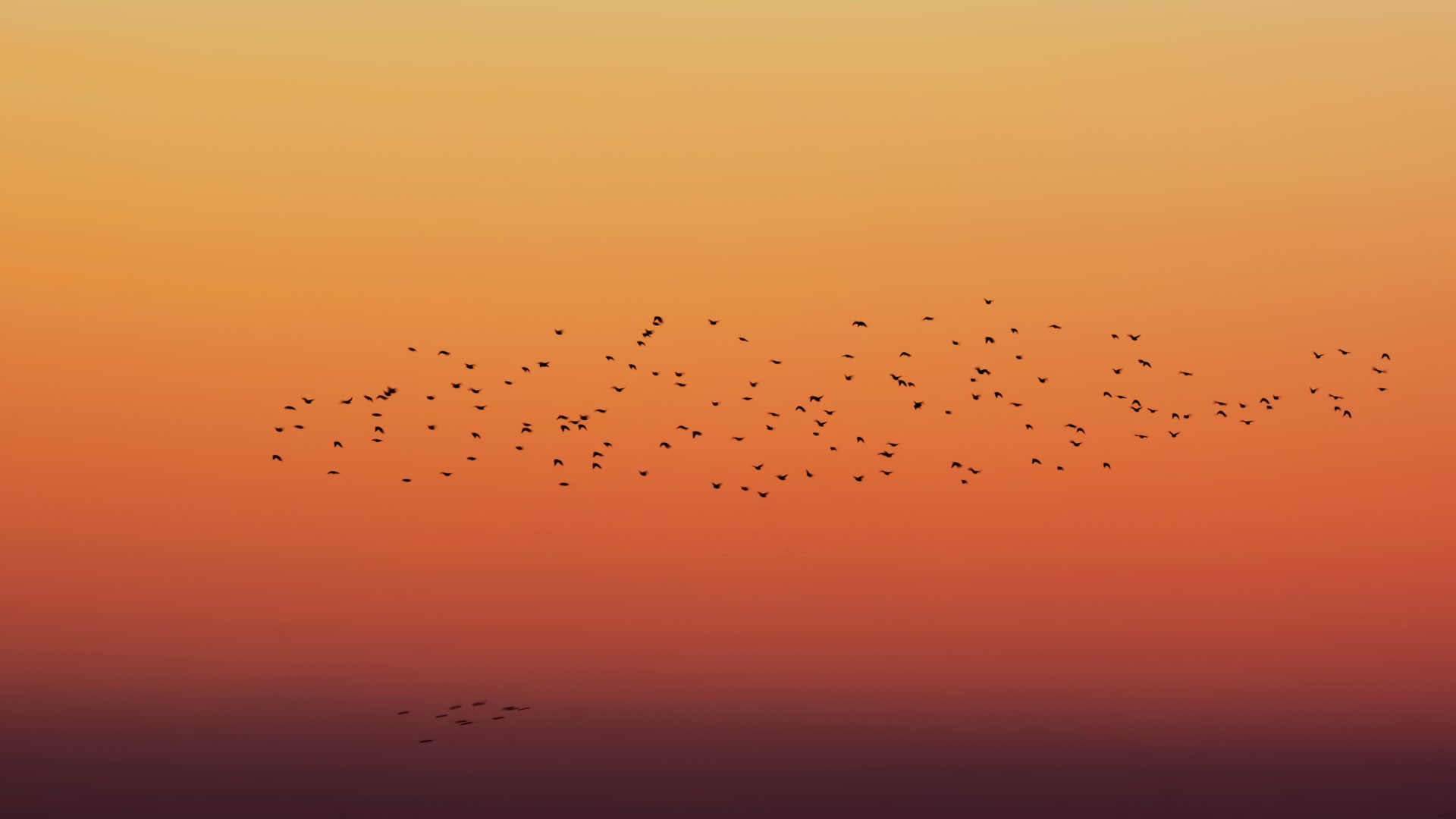 Ye Ku - Wings